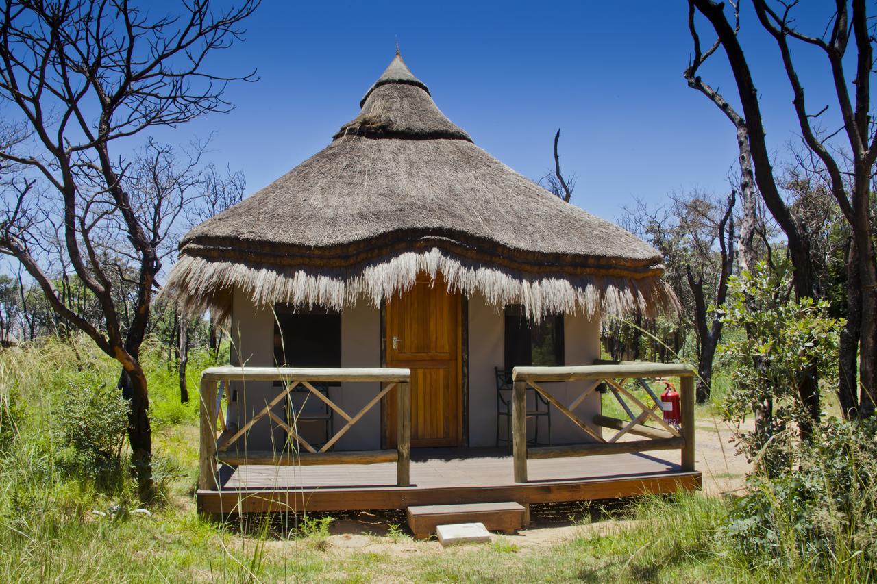Wildside Safari Camp Villa Golders Green Exterior photo